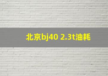 北京bj40 2.3t油耗